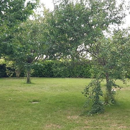 Gite De L'Archipel - Ville De Cahors - Parking Ngoại thất bức ảnh